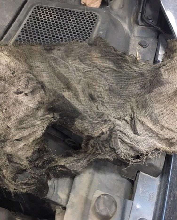 Katasztrófát okozott a motortérben hagyott rongy, a szerelőnek főhet a feje 5