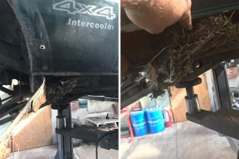 Egy hazai autószerelő olyan dolgot talált a küszöb alatt, amilyet még életében nem