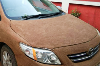 Marhatrágyát kocsijára kenve védekezett a nyári meleg ellen