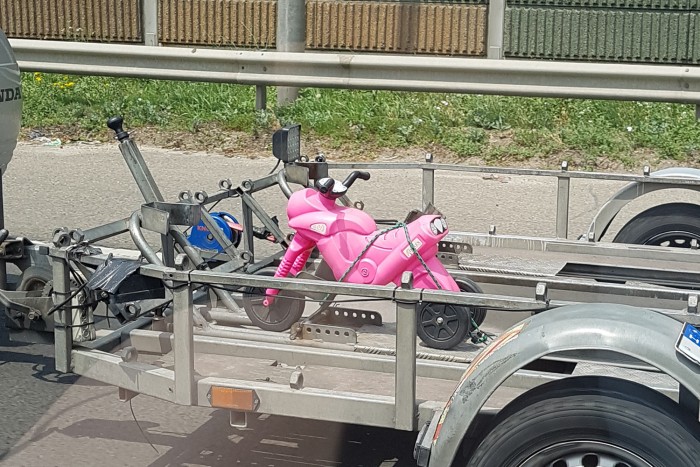 Ennél cukibbat ma tuti nem látsz 5