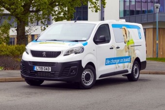 Kutyákat szállít az oroszlán