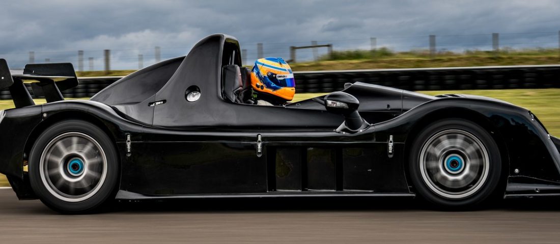 Parányi ragadozó érkezik Angliából