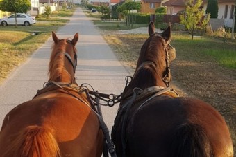 Ezt üzente egy magyar lovas az autósoknak