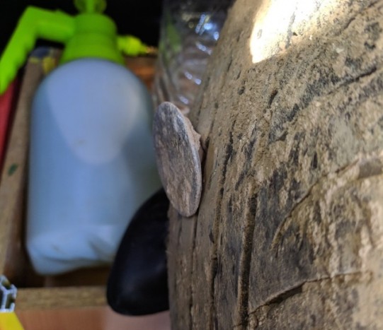 Hatalmas pusztításra képes egy ilyen szörnyeteg, óvd tőle a kerekeid 1 | Vezess Hatalmas pusztításra képes egy ilyen szörnyeteg, óvd tőle a kerekeid 1