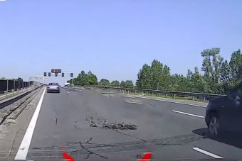 Kacsamama sikeresen átvezette a kiskacsákat az M0-son, az autósok meg lefőttek, mint a kávé