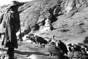 Temetés helyett keselyűk tüntetik el a halottakat Tibetben