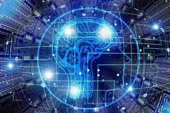 Állatokban növeszthetnek új szerveket az embernek