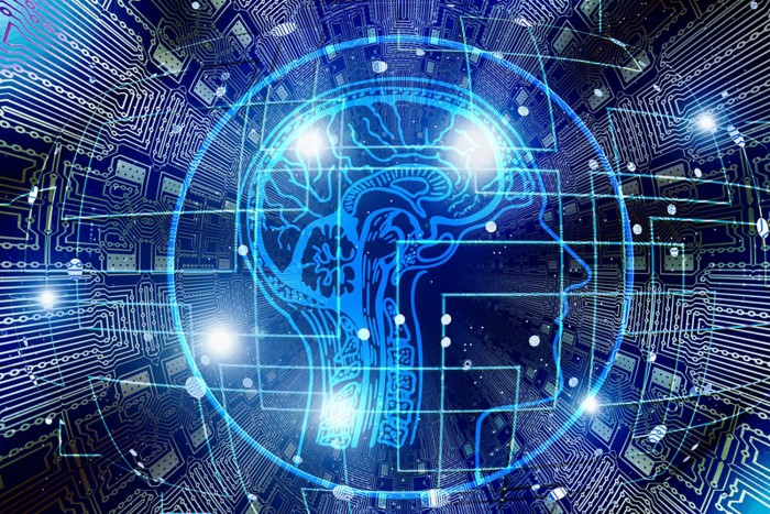 Állatokban növeszthetnek új szerveket az embernek