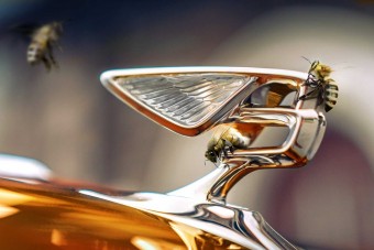 Méheket ment gyára mellett a Bentley