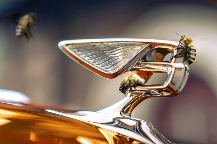 Méheket ment gyára mellett a Bentley