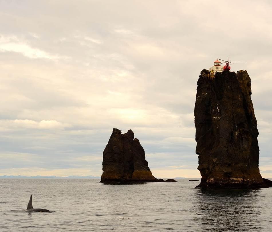 Ha eljön a világvége, itt keressetek minket 1