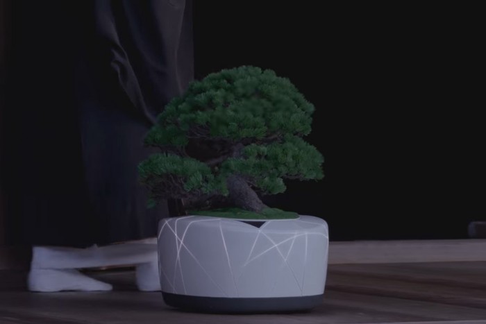 A jövő növényei követik minden lépésünk és beszélnek hozzánk