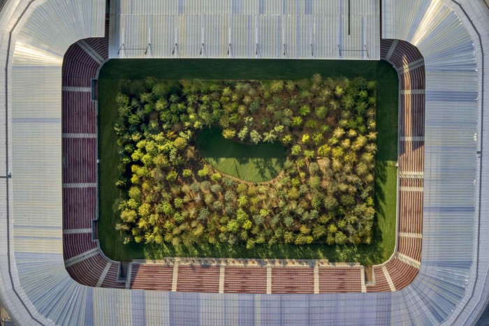 Erdő nőtt a stadion közepén, nem véletlenül