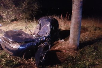 140-nel csapták a fának a négygyerekes ápolónőt Mohácsnál