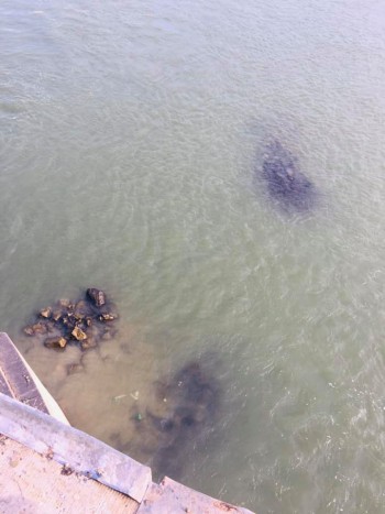 Na mi kandikál ki a Dunából a Szabadság hídnál? 1