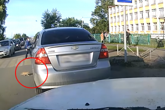 Ezt a kiscicát mentő férfit imádja most a Facebook