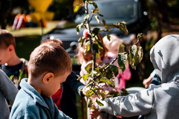 Minden eladott Volvo után elültetnek egy fát