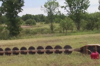 Lehidalt az internet az amerikai lombfűrésztől