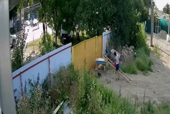 Ha ez a két kisfiú az életben mindent annyira akar majd, mint ellopni ezt a talicskát, akkor minimum elnökök lesznek