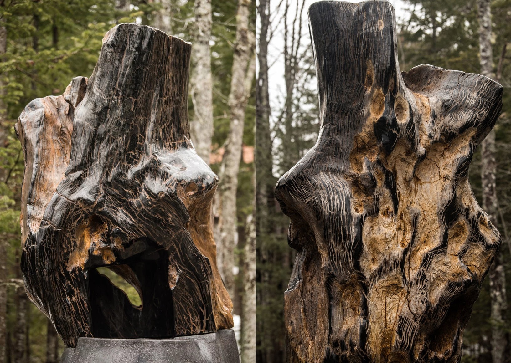 Megkövesedett fából készült a legdrágább kandalló 3