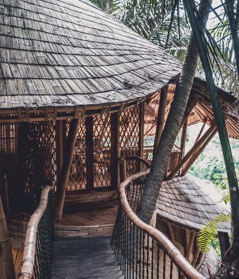 Ma már ezek az esőerdőbe épített bambuszházak menők, nem az ötcsillagos hotelek 4