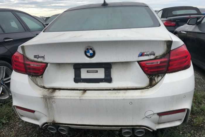 Vadiúj BMW-k pusztulnak ezen a roncstelepen 4