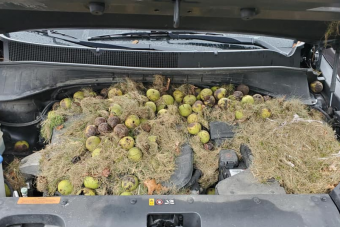 Ezért érdemes felnyitni néha egy új autó motorterét is