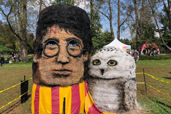 A kipingált faluszéli szalmabálák műfajában ez a csúcs