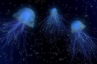 Itt a világ legnagyobb járműve, amely oda viszi az embert, ahol még sosem járt