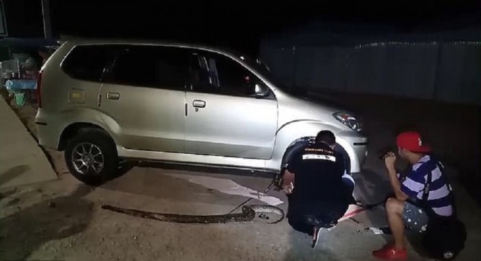 Faágnak hitte az útakadályt a férfi, nem kellett volna áthajtani rajta 3 | Vezess Faágnak hitte az útakadályt a férfi, nem kellett volna áthajtani rajta 3