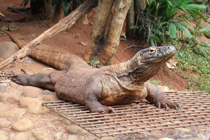 Nem, ez nem az új Godzilla-film egyik jelenete