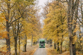 Fát ültetnek, ha buszt vagy teherautót adnak el