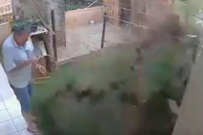 Ez a videó mutatja, miért ne próbálj élősködőket benzinnel irtani