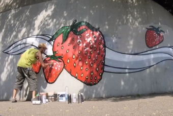 Gyümölcsrajzokkal irtja a náci falfirkákat egy olasz művész