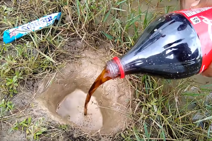 Így lehet halat fogni Mentos-kólával