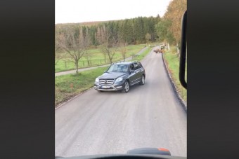 Lehet röhögni egy ilyen esetlen tolatáson?