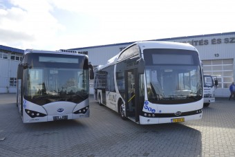 Ennyi fa kellene egyetlen dízelbusz szennyezésének a kiváltásához