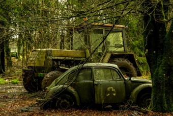 Gigantikus roncstemetőre bukkant Belgiumban a magyar 