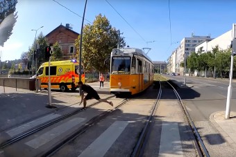 Egy pesti villamosvezető pokoljárása - 3. rész