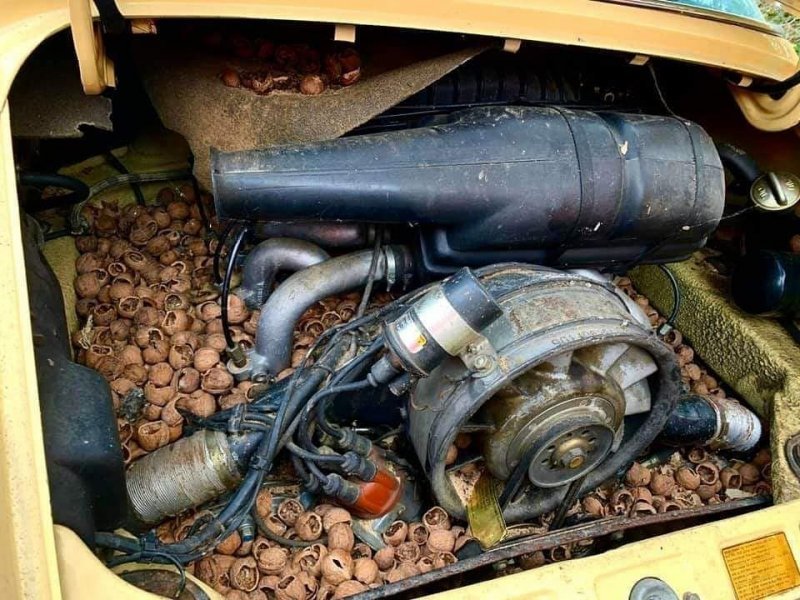 Így néz ki egy öreg, elhagyott Porsche motortere, amit rágcsálók vettek birtokba 2