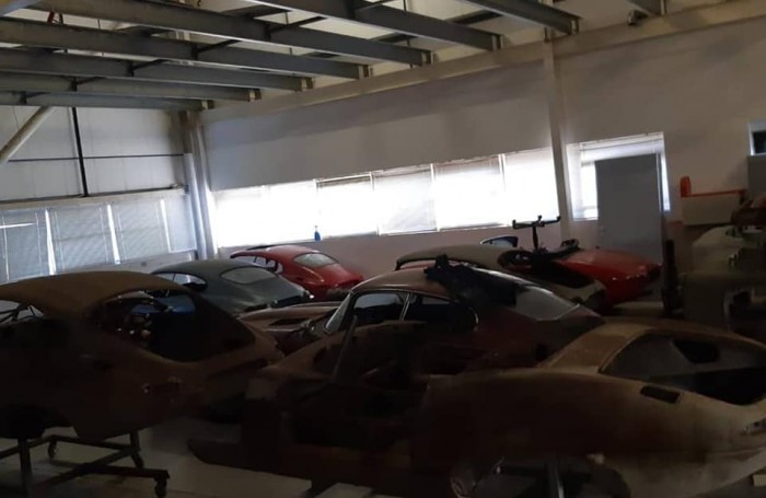 Múzeumi ritkaságokat találtak egy üvegházban 3