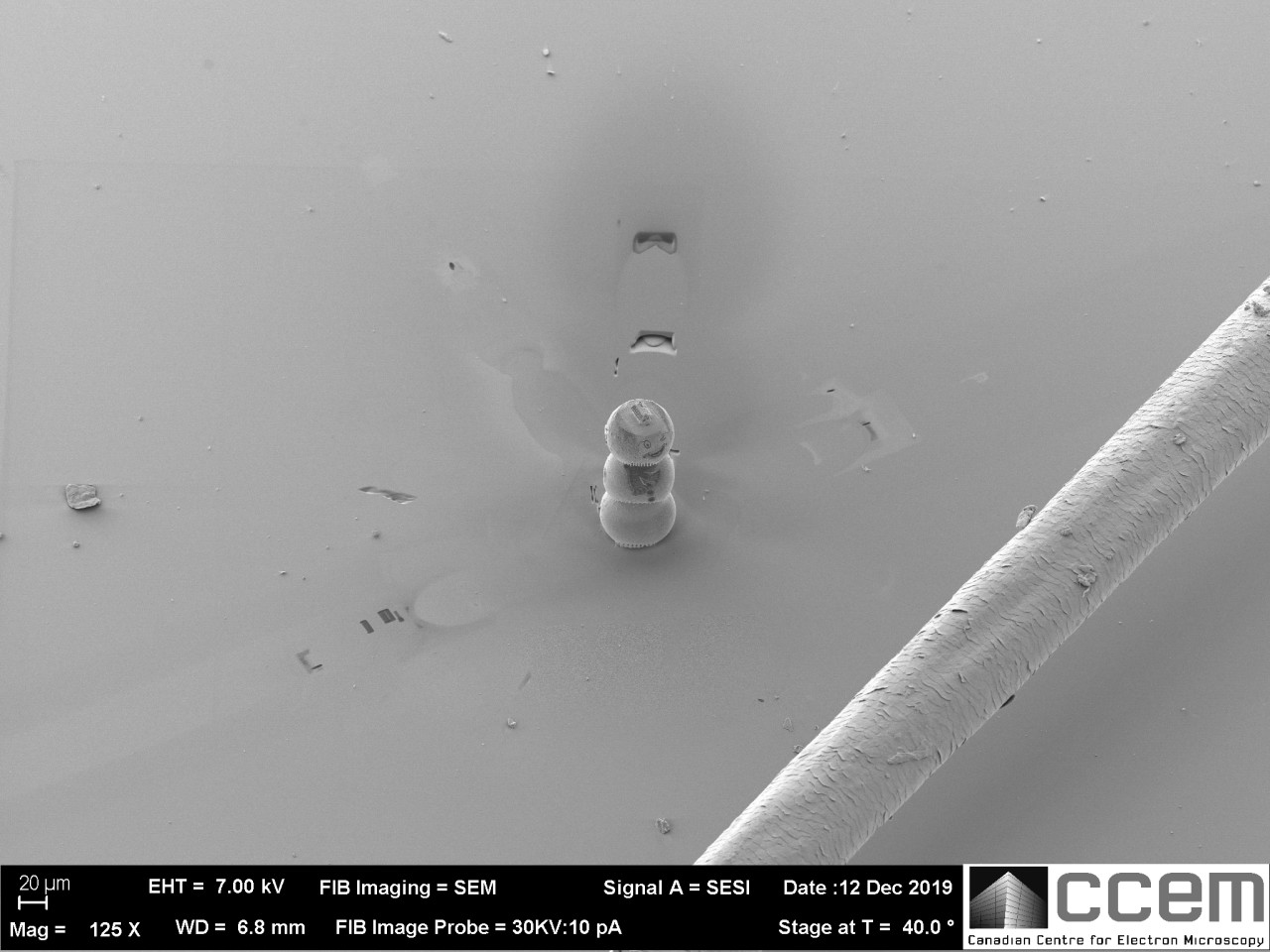 Csak mikroszkóppal látni a világ legkisebb mézeskalácsházát 3