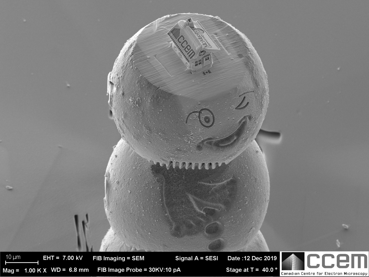 Csak mikroszkóppal látni a világ legkisebb mézeskalácsházát 2