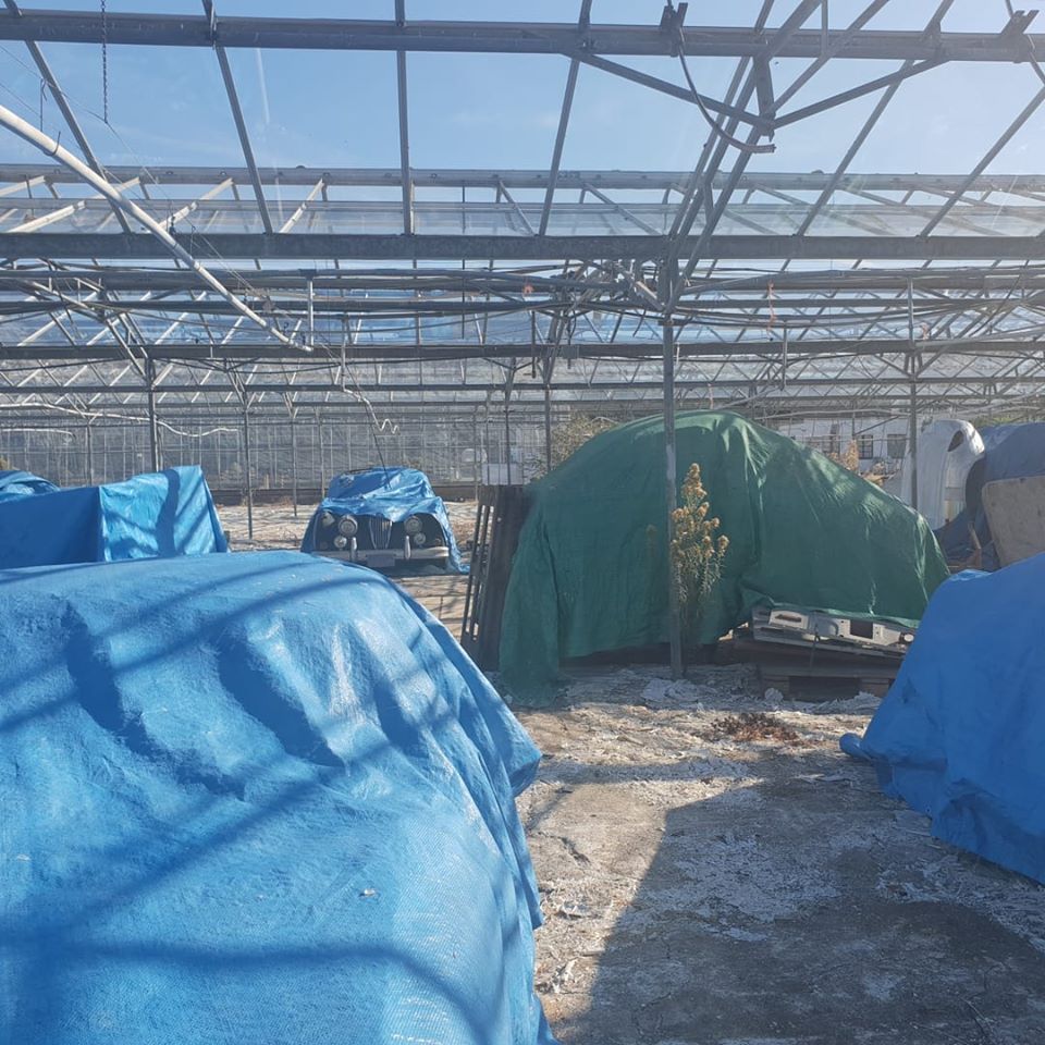 Múzeumi ritkaságokat találtak egy üvegházban 1