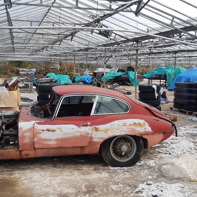 Múzeumi ritkaságokat találtak egy üvegházban 2