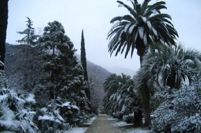 Ezen a pálmafás tengerparton megszokott a havazás