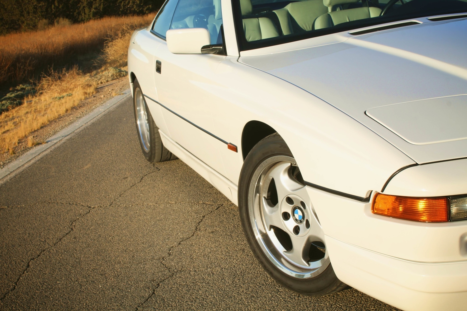 Olyan fehér ez a BMW 850 CSi, mint a friss hó 6