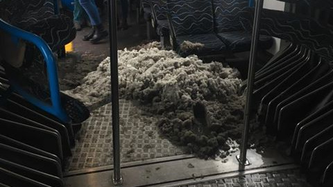 Egy budapesti busz átment hótolóba hétfő reggel 1