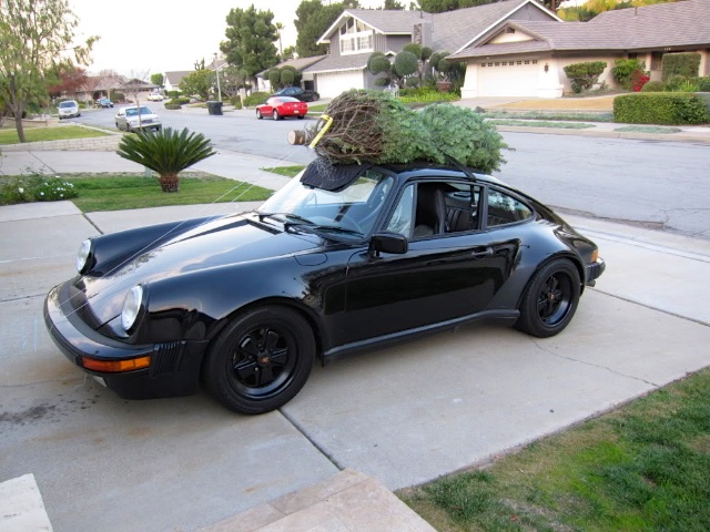 Így viszik haza a karácsonyfát a pofátlanul gazdagok 7