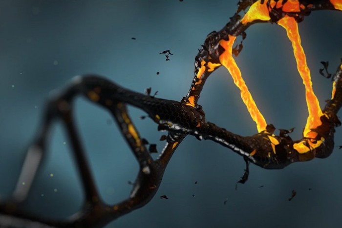 Fantasztikus dolgot találtak egy 5700 éves rágóban